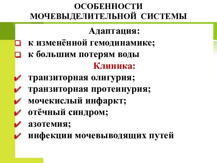 ОСОБЕННОСТИ МОЧЕВЫДЕЛИТЕЛЬНОЙ СИСТЕМЫ Адаптация: к изменённой гемодинамике; к большим потерям