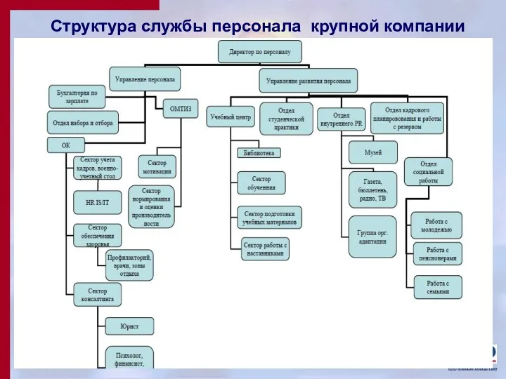 Структура службы персонала крупной компании