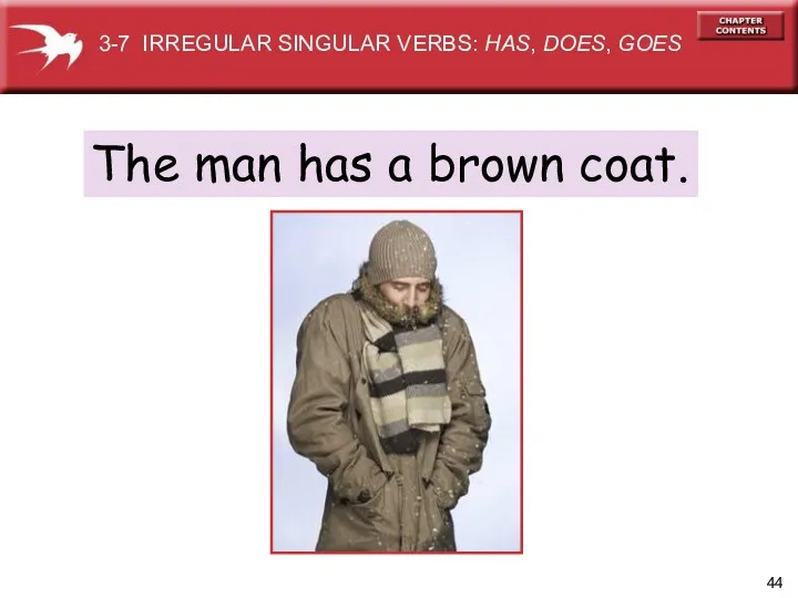 The man has a brown coat. 3-7 IRREGULAR SINGULAR VERBS: HAS, DOES, GOES