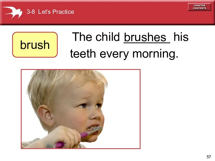 The child _______ his teeth every morning. brushes 3-8 Let’s Practice brush