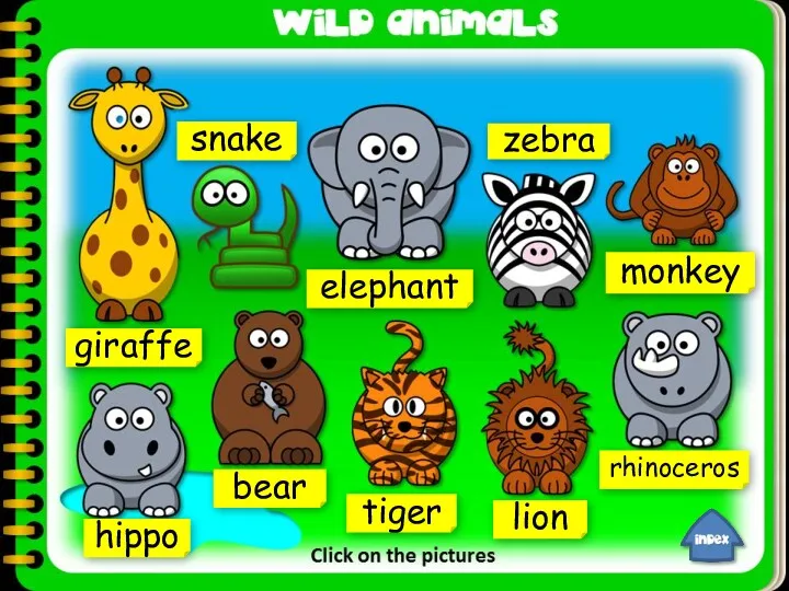 zebra giraffe elephant snake bear hippo tiger lion rhinoceros monkey