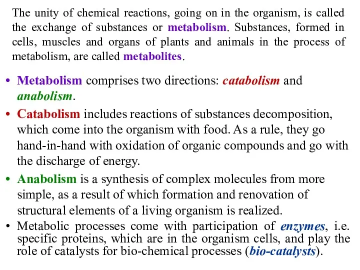 The unity of chemical reactions, going on in the organism,