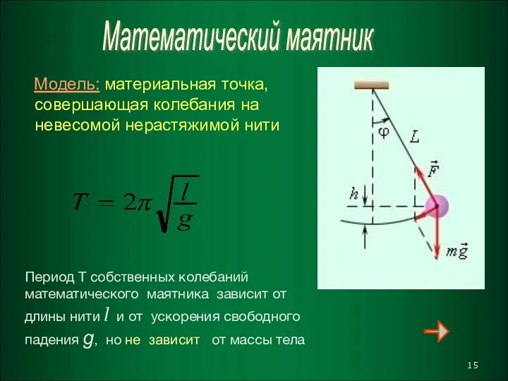 Математический маятник Модель: материальная точка, совершающая колебания на невесомой нерастяжимой