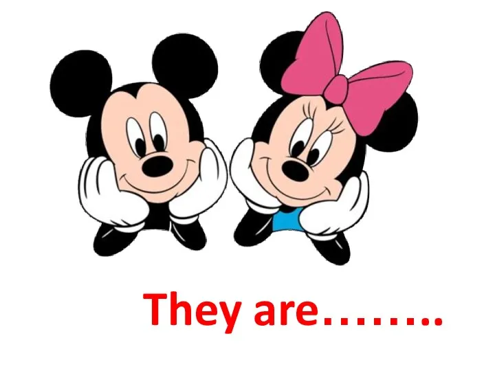 They are……..