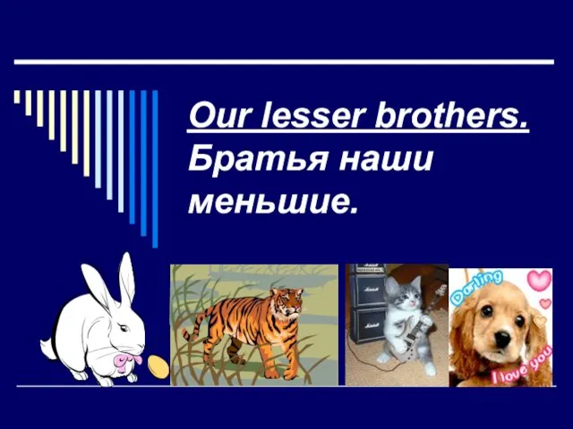 Our lesser brothers. Братья наши меньшие.