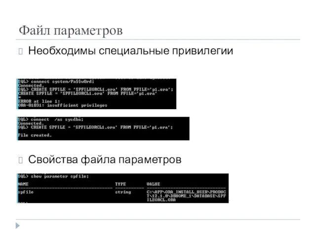 Файл параметров Необходимы специальные привилегии Свойства файла параметров