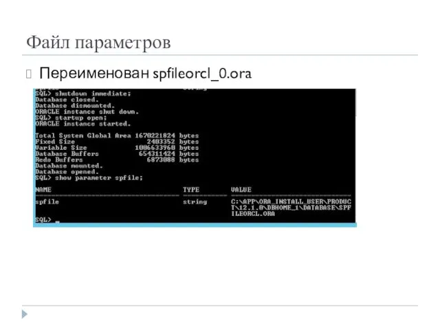 Файл параметров Переименован spfileorcl_0.ora