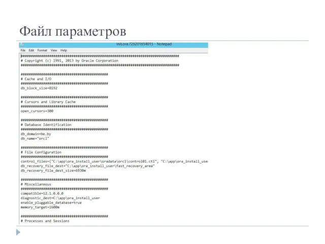 Файл параметров