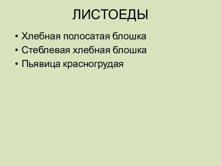 ЛИСТОЕДЫ Хлебная полосатая блошка Стеблевая хлебная блошка Пьявица красногрудая