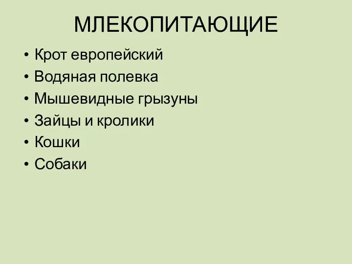 МЛЕКОПИТАЮЩИЕ Крот европейский Водяная полевка Мышевидные грызуны Зайцы и кролики Кошки Собаки