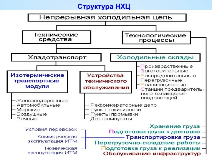 Структура НХЦ