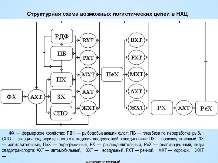 Структурная схема возможных логистических цепей в НХЦ ФХ — фермерское