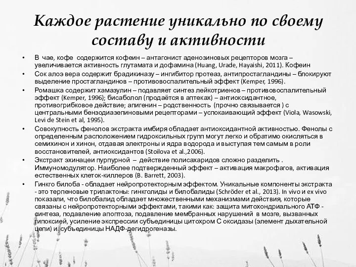 Каждое растение уникально по своему составу и активности В чае,