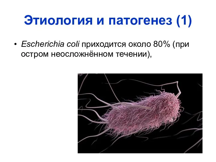 Этиология и патогенез (1) Escherichia coli приходится около 80% (при остром неосложнённом течении),