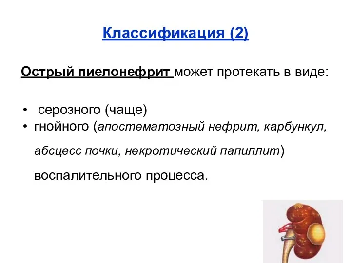 Классификация (2) Острый пиелонефрит может протекать в виде: серозного (чаще)