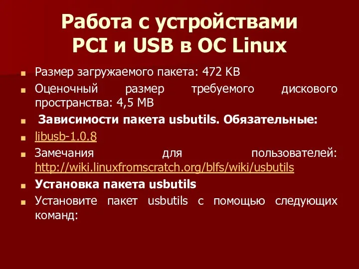 Работа с устройствами PCI и USB в ОС Linux Размер