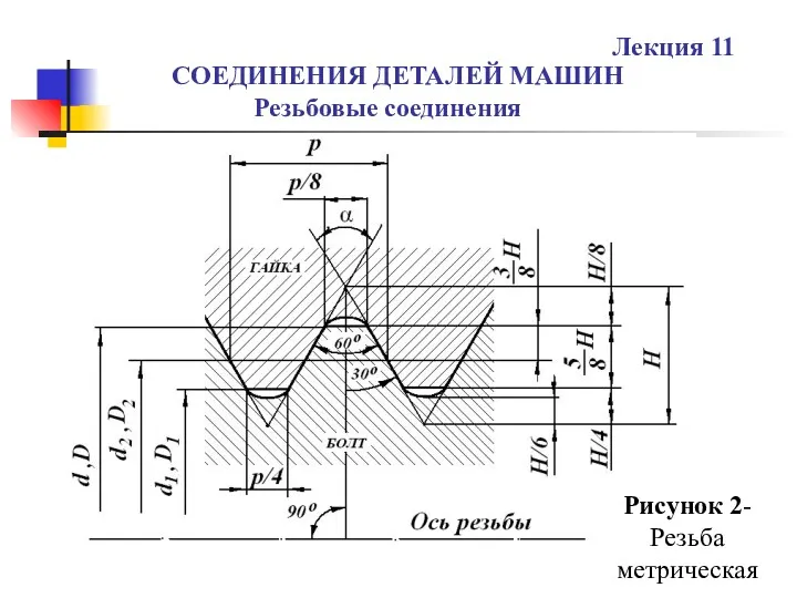 СОЕДИНЕНИЯ ДЕТАЛЕЙ МАШИН Резьбовые соединения Лекция 11 Рисунок 2- Резьба метрическая