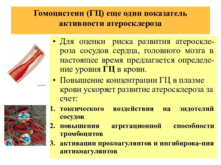 Гомоцистеин (ГЦ) еще один показатель активности атеросклероза Для оценки риска