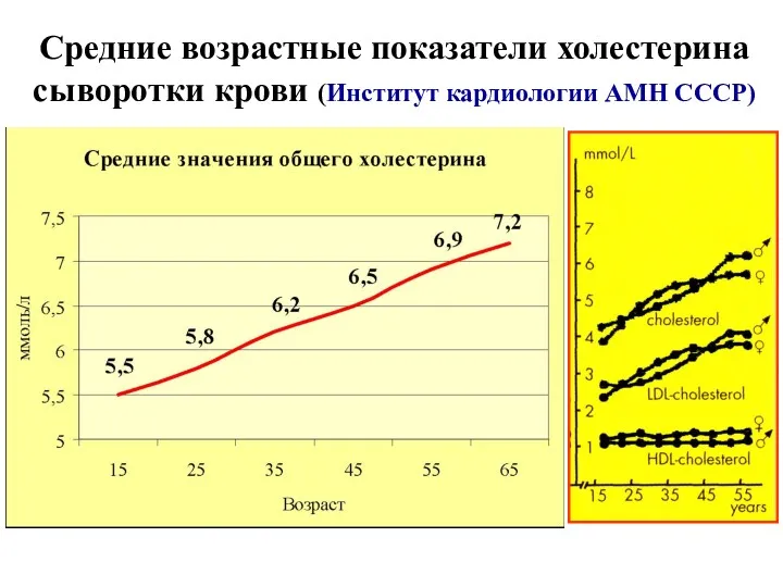Средние возрастные показатели холестерина сыворотки крови (Институт кардиологии АМН СССР)