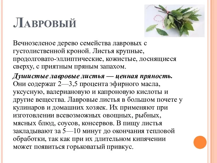 Лавровый Вечнозеленое дерево семейства лавровых с густолиственной кроной. Листья крупные,