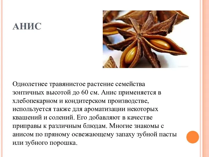 анис Однолетнее травянистое растение семейства зонтичных высотой до 60 см.