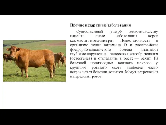 Прочие незаразные заболевания Существенный ущерб животноводству наносят такие заболевания коров как мастит и