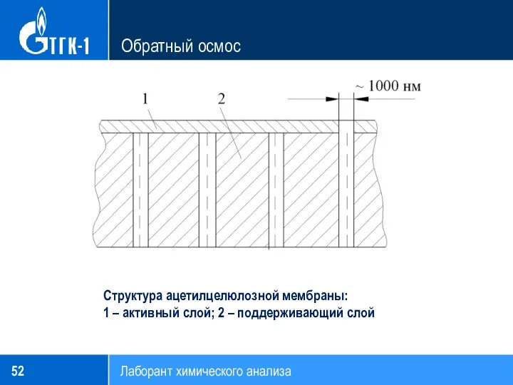 Обратный осмос Лаборант химического анализа Структура ацетилцелюлозной мембраны: 1 – активный слой; 2 – поддерживающий слой