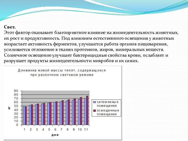 Свет. Этот фактор оказывает благоприятное влияние на жизнедеятельность животных, их