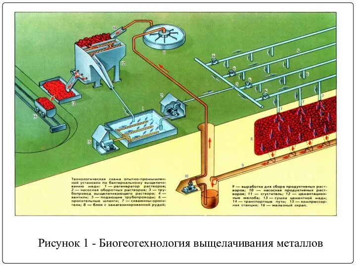 Рисунок 1 - Биогеотехнология выщелачивания металлов