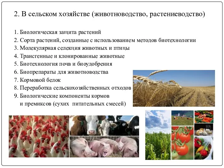 2. В сельском хозяйстве (животноводство, растениеводство) 1. Биологическая защита растений 2. Сорта растений,