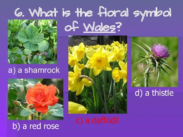 6. What is the floral symbol of Wales? a) a