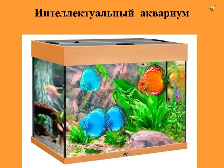 Интеллектуальный аквариум
