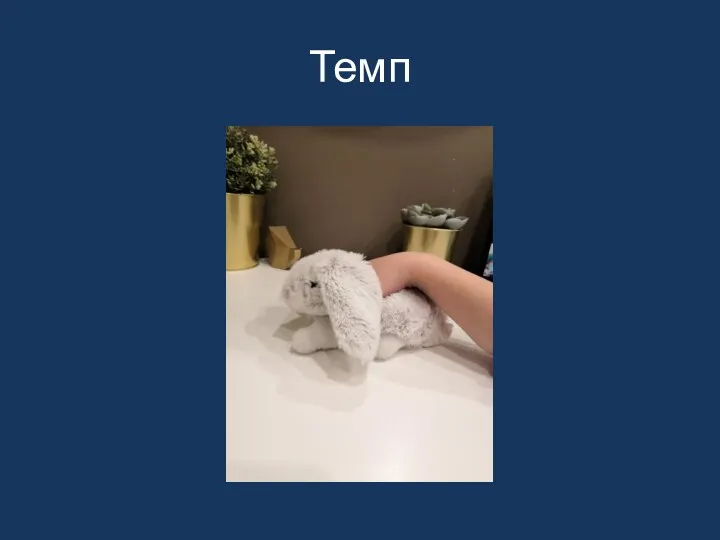 Темп