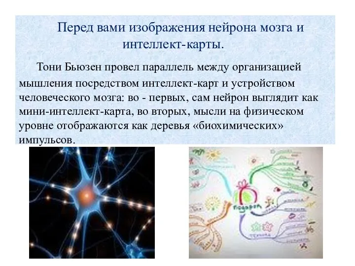 Перед вами изображения нейрона мозга и интеллект-карты. Тони Бьюзен провел