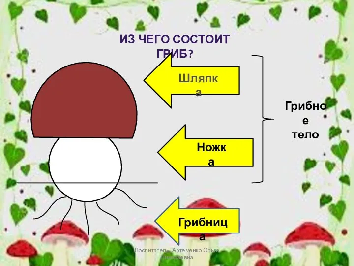 ИЗ ЧЕГО СОСТОИТ ГРИБ? Шляпка Ножка Грибное тело Грибница Воспитатель: Артеменко Ольга Николаевна