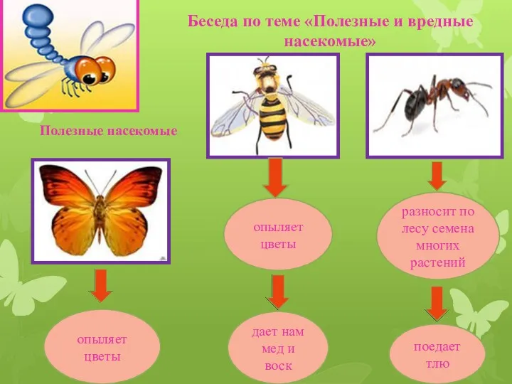 Беседа по теме «Полезные и вредные насекомые» опыляет цветы дает нам мед и