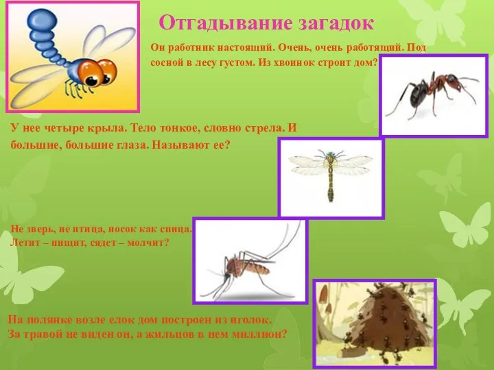 Отгадывание загадок Он работник настоящий. Очень, очень работящий. Под сосной в лесу густом.