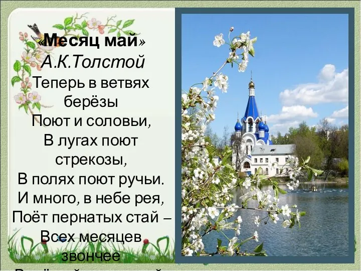 «Месяц май» А.К.Толстой Теперь в ветвях берёзы Поют и соловьи,