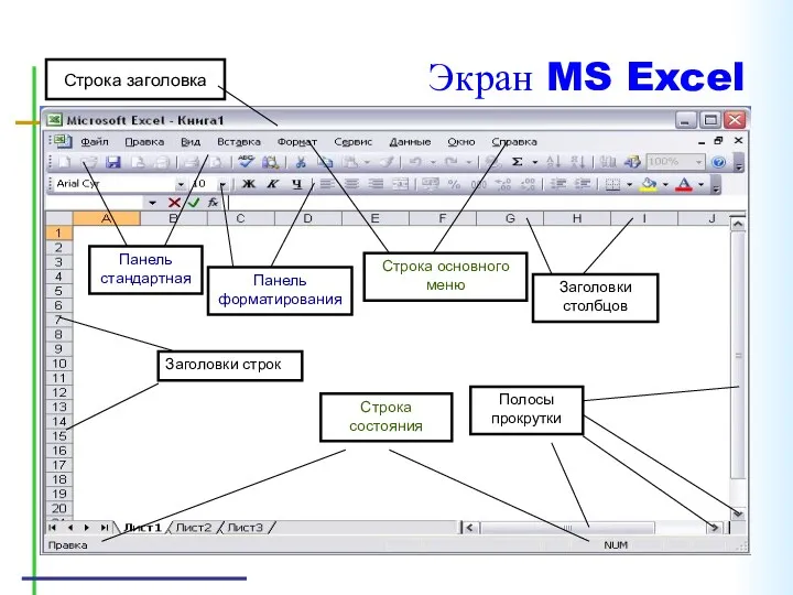 Экран MS Excel