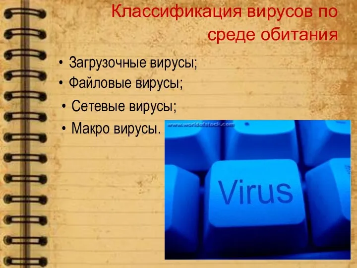 Классификация вирусов по среде обитания Сетевые вирусы; Макро вирусы. Загрузочные вирусы; Файловые вирусы;