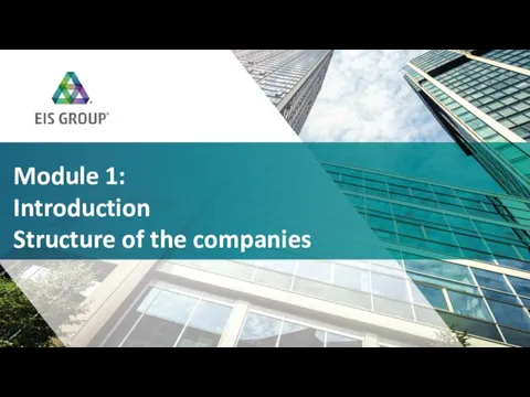 Introduction Structure of the companies. Module 1