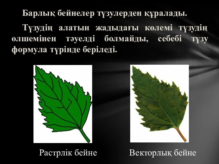 Барлық бейнелер түзулерден құралады. Түзудің алатын жадыдағы көлемі түзудің өлшемінен