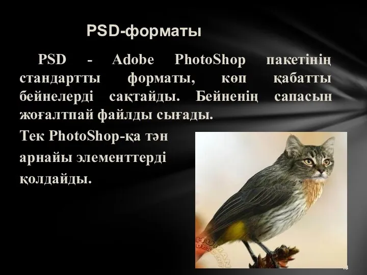 PSD-форматы PSD - Adobe PhotoShop пакетінің стандартты форматы, көп қабатты