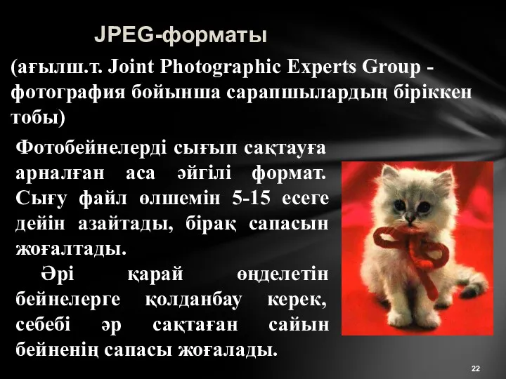 JPEG-форматы Фотобейнелерді сығып сақтауға арналған аса әйгілі формат. Сығу файл
