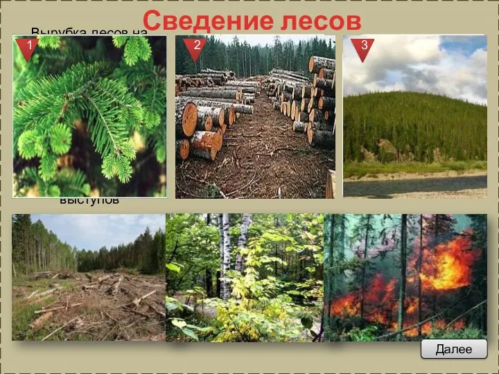 Сведение лесов Далее Вырубка лесов на склонах Уральских гор в ряде мест привела