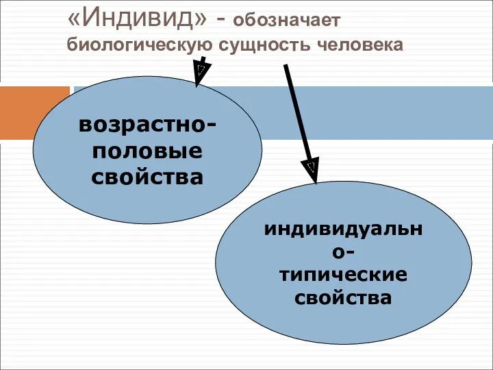 «Индивид» - обозначает биологическую сущность человека возрастно- половые свойства индивидуально- типические свойства