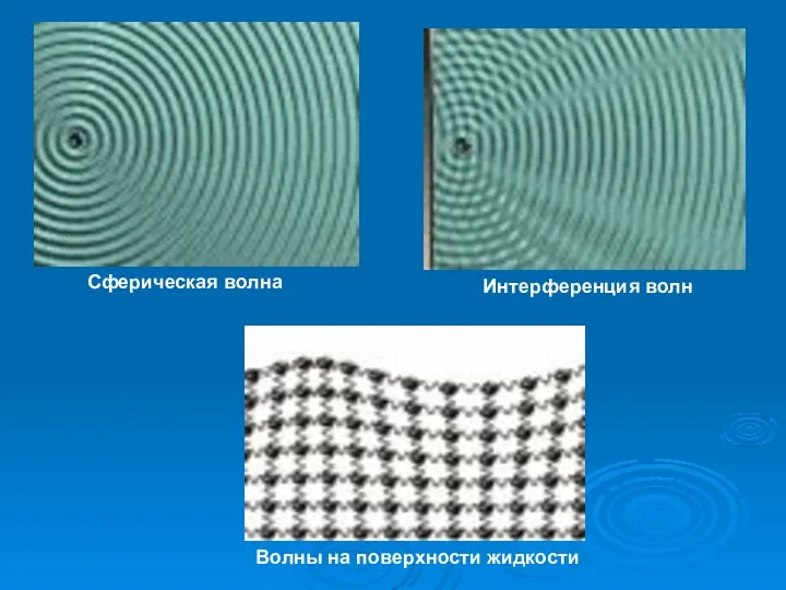 Сферическая волна Интерференция волн Волны на поверхности жидкости