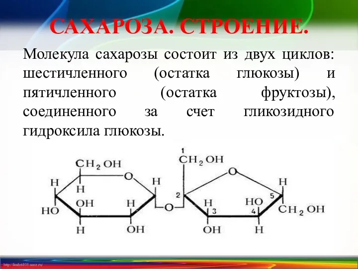 САХАРОЗА. СТРОЕНИЕ. Молекула сахарозы состоит из двух циклов: шестичленного (остатка глюкозы) и пятичленного