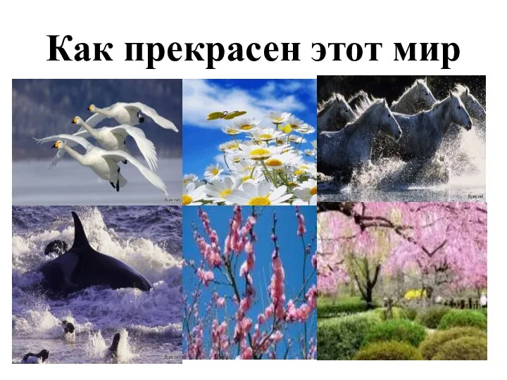 Как прекрасен этот мир