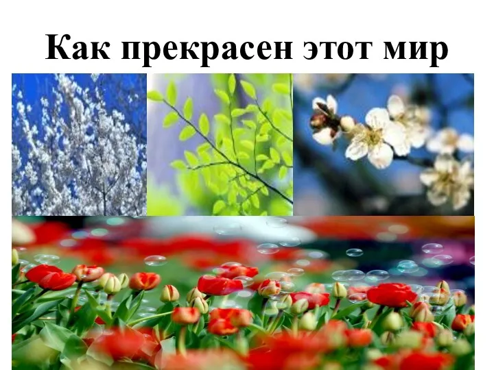 Как прекрасен этот мир